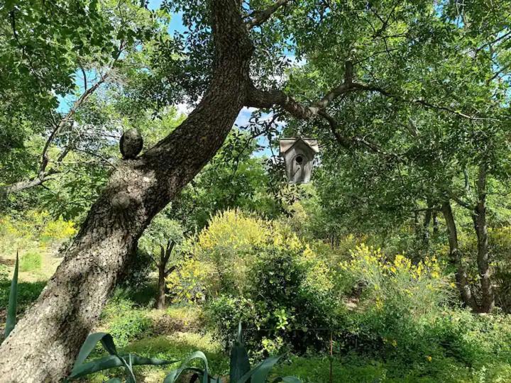 L'autre Perle Possibilité Balnéo En Sup Apartamento